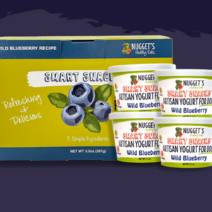 Nugget's Healthy Eats Yogurt
