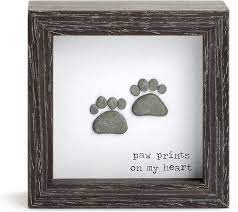 Paw Prints Shadow Box