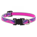 High Light Pink Paws Dog Collar