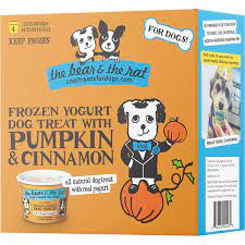 Pumpkin & Cinnamon Fro Yo
