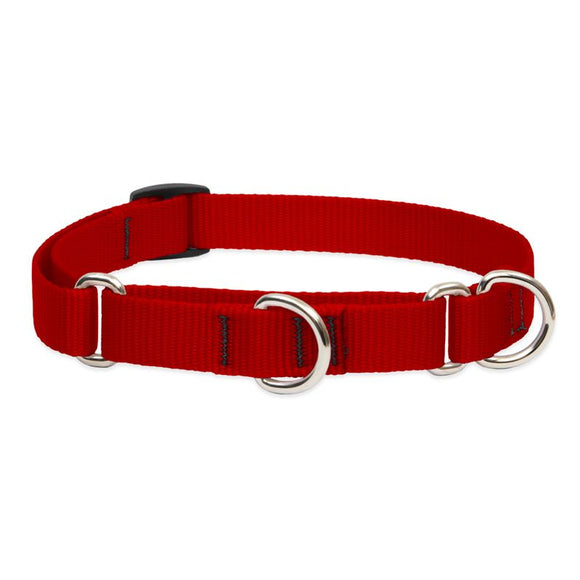 Red Martingale Collar