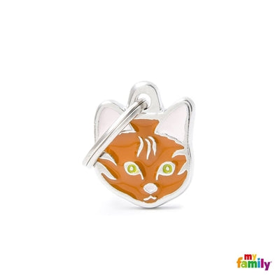 Red European Shorthair