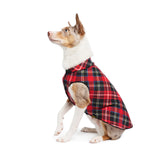 Gold Paw Fleece
