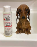 Flea & Tick Shampoo