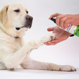 Super Sour! Anti Chew Spray