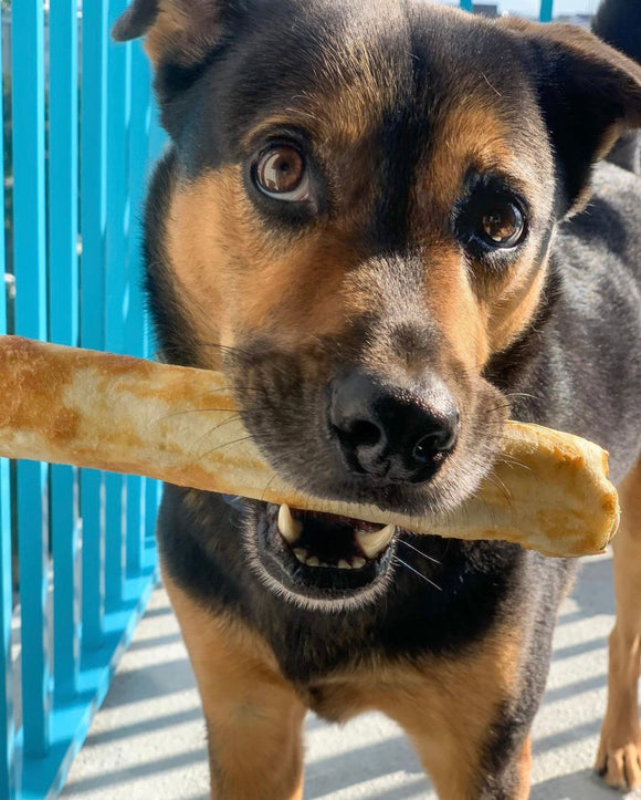 Chicken Recipe Dog Chew