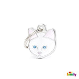 White European Shorthair