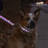 High Light Pink Paws Dog Collar