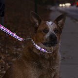 High Lights Pink Paws Leash